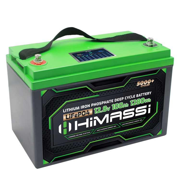 lifepo4 12v 100ah custom lithium battery pack